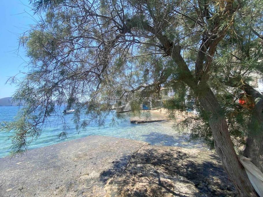 Casa Del Mar Milos Plaka  Bagian luar foto